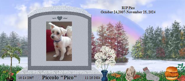 Piccolo "Pico"'s Rainbow Bridge Pet Loss Memorial Residency Image