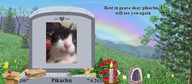 Pikachu's Rainbow Bridge Pet Loss Memorial Residency Image