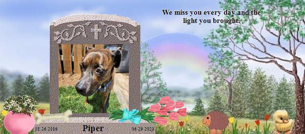 Piper's Rainbow Bridge Pet Loss Memorial Residency Image