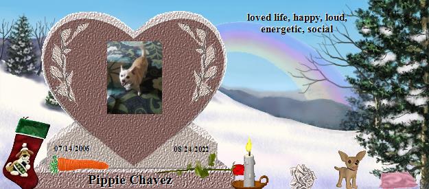 Pippie Chavez's Rainbow Bridge Pet Loss Memorial Residency Image