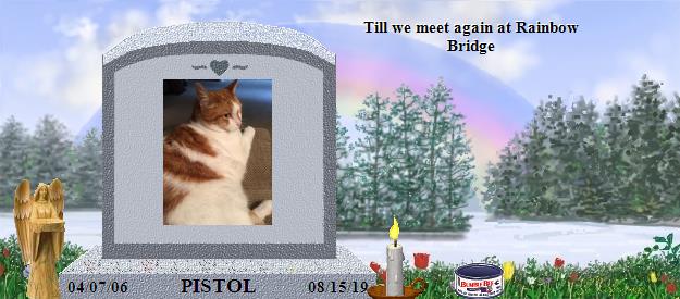 PISTOL's Rainbow Bridge Pet Loss Memorial Residency Image