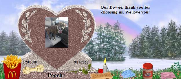 Pooch's Rainbow Bridge Pet Loss Memorial Residency Image
