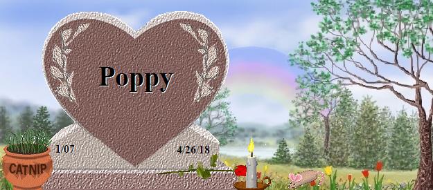 Poppy's Rainbow Bridge Pet Loss Memorial Residency Image