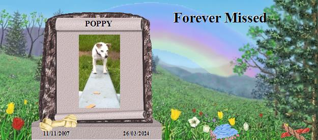 POPPY's Rainbow Bridge Pet Loss Memorial Residency Image