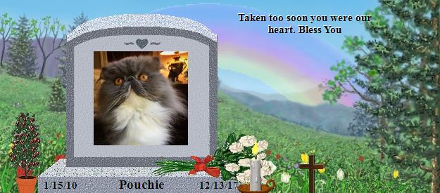 Pouchie's Rainbow Bridge Pet Loss Memorial Residency Image
