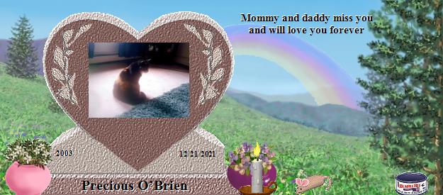 Precious O’Brien's Rainbow Bridge Pet Loss Memorial Residency Image