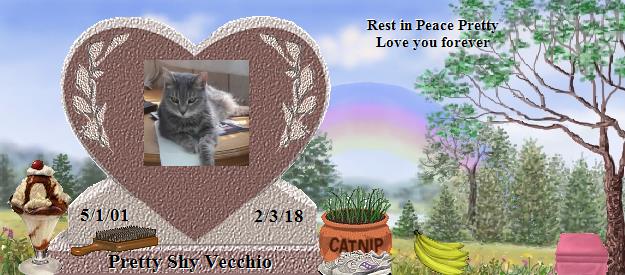 Pretty Shy Vecchio's Rainbow Bridge Pet Loss Memorial Residency Image