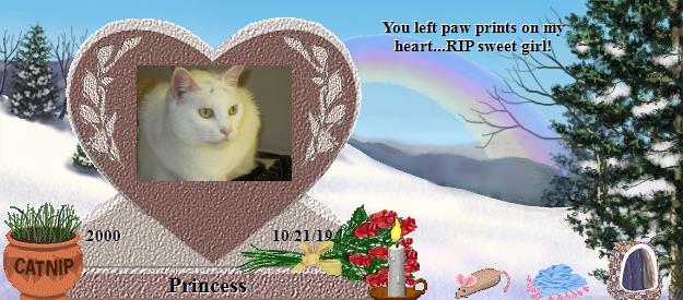 Princess's Rainbow Bridge Pet Loss Memorial Residency Image