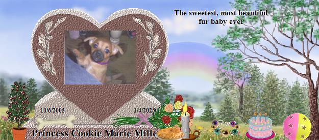 Princess Cookie Marie Miller's Rainbow Bridge Pet Loss Memorial Residency Image