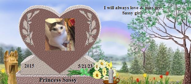 Princess Sassy's Rainbow Bridge Pet Loss Memorial Residency Image
