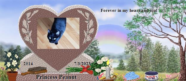 Princess Peanut's Rainbow Bridge Pet Loss Memorial Residency Image