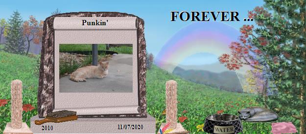 Punkin''s Rainbow Bridge Pet Loss Memorial Residency Image