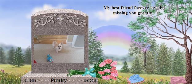 Punky's Rainbow Bridge Pet Loss Memorial Residency Image