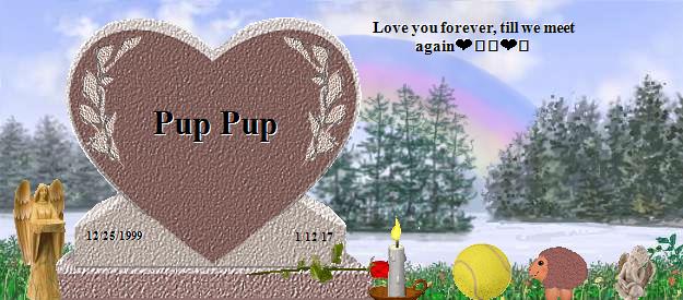Pup Pup's Rainbow Bridge Pet Loss Memorial Residency Image