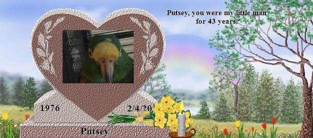 Putsey's Rainbow Bridge Pet Loss Memorial Residency Image