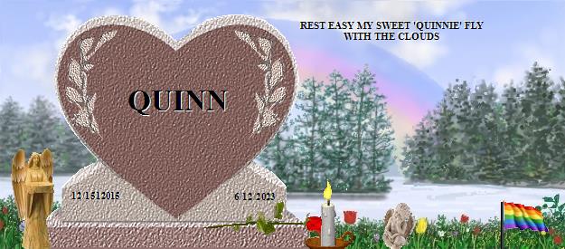 QUINN's Rainbow Bridge Pet Loss Memorial Residency Image