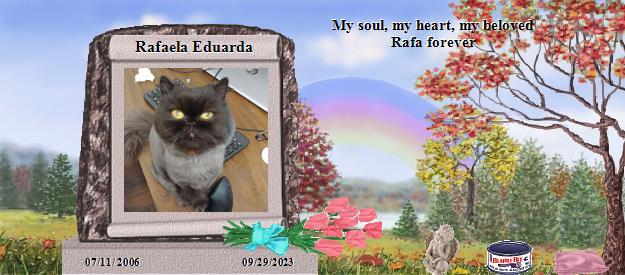Rafaela Eduarda's Rainbow Bridge Pet Loss Memorial Residency Image