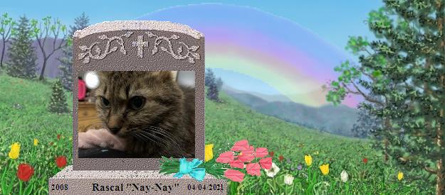 Rascal "Nay-Nay"'s Rainbow Bridge Pet Loss Memorial Residency Image