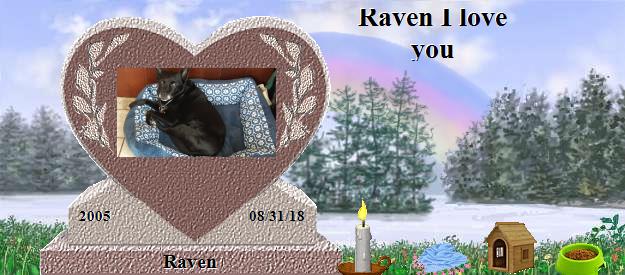 Raven's Rainbow Bridge Pet Loss Memorial Residency Image