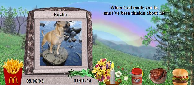 Razha's Rainbow Bridge Pet Loss Memorial Residency Image