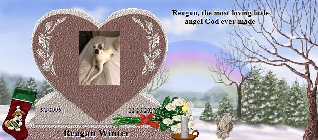 Reagan Winter's Rainbow Bridge Pet Loss Memorial Residency Image