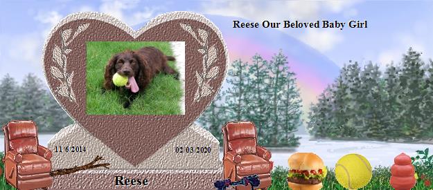 Reese's Rainbow Bridge Pet Loss Memorial Residency Image
