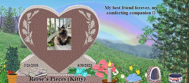 Reese’s Pieces (Kitty)'s Rainbow Bridge Pet Loss Memorial Residency Image