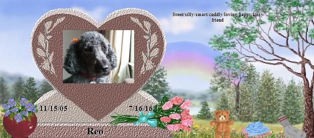 Reo's Rainbow Bridge Pet Loss Memorial Residency Image