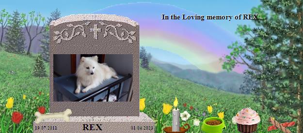 REX's Rainbow Bridge Pet Loss Memorial Residency Image