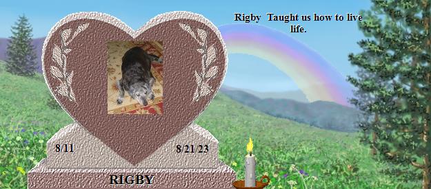 RIGBY's Rainbow Bridge Pet Loss Memorial Residency Image