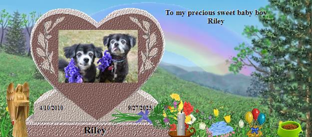 Riley's Rainbow Bridge Pet Loss Memorial Residency Image