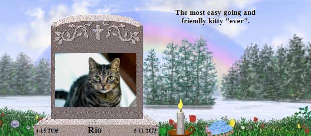 Rio's Rainbow Bridge Pet Loss Memorial Residency Image
