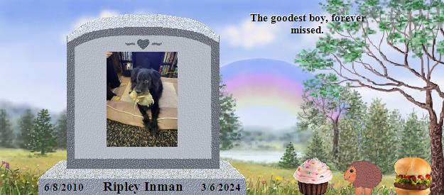 Ripley Inman's Rainbow Bridge Pet Loss Memorial Residency Image