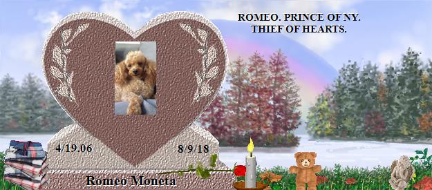 Romeo Moneta's Rainbow Bridge Pet Loss Memorial Residency Image