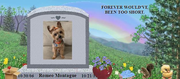 Romeo Montague's Rainbow Bridge Pet Loss Memorial Residency Image