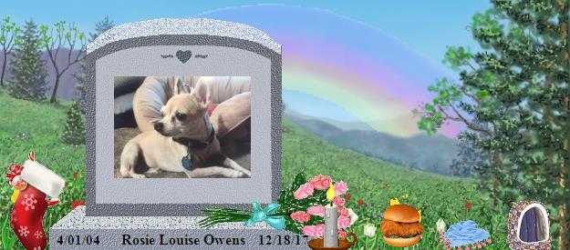 Rosie Louise Owens's Rainbow Bridge Pet Loss Memorial Residency Image