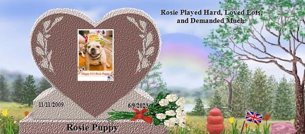 Rosie Puppy's Rainbow Bridge Pet Loss Memorial Residency Image