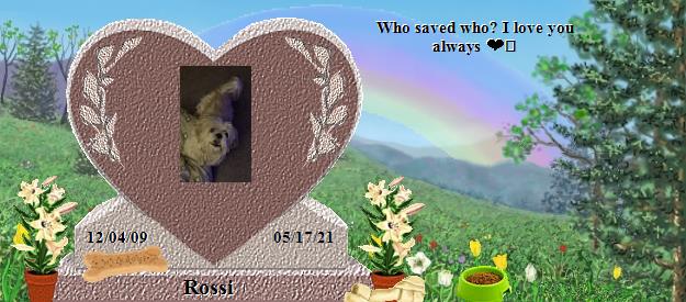 Rossi's Rainbow Bridge Pet Loss Memorial Residency Image
