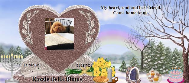 Rozzie Bella Blume's Rainbow Bridge Pet Loss Memorial Residency Image
