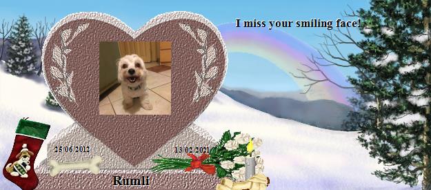 Rumli's Rainbow Bridge Pet Loss Memorial Residency Image