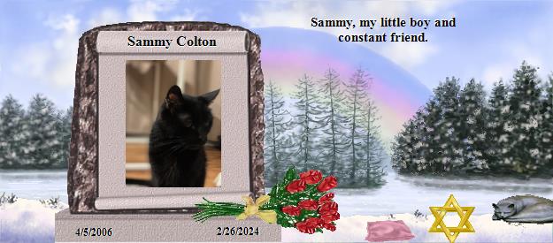 Sammy Colton's Rainbow Bridge Pet Loss Memorial Residency Image