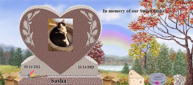 Sasha's Rainbow Bridge Pet Loss Memorial Residency Image