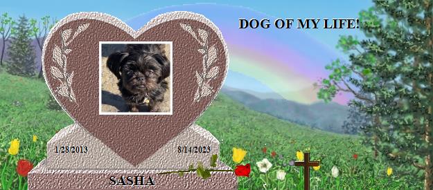 SASHA's Rainbow Bridge Pet Loss Memorial Residency Image