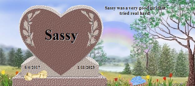 Sassy's Rainbow Bridge Pet Loss Memorial Residency Image