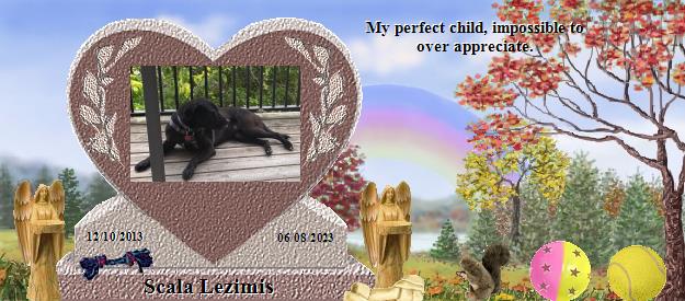 Scala Lezimis's Rainbow Bridge Pet Loss Memorial Residency Image
