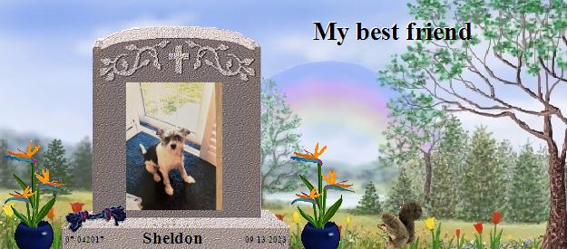 Sheldon's Rainbow Bridge Pet Loss Memorial Residency Image