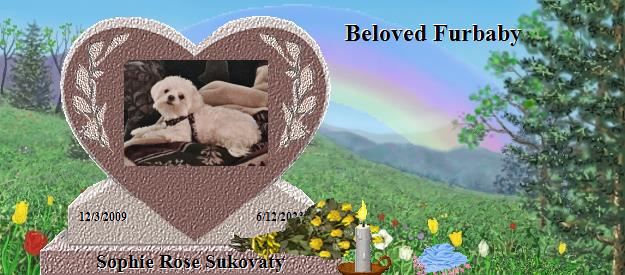 Sophie Rose Sukovaty's Rainbow Bridge Pet Loss Memorial Residency Image