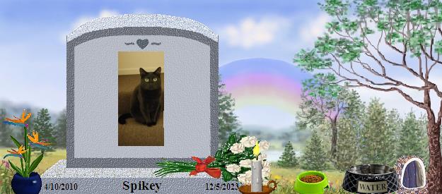 Spikey's Rainbow Bridge Pet Loss Memorial Residency Image