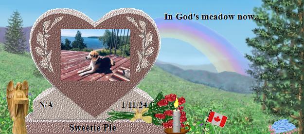Sweetie Pie's Rainbow Bridge Pet Loss Memorial Residency Image