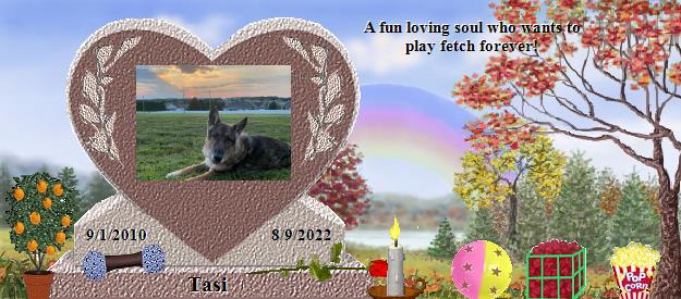 Tasi's Rainbow Bridge Pet Loss Memorial Residency Image